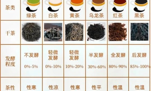 偏头疼是什么症状-偏头疼要注意什么症状网—知名的偏头疼是什么症状网站,分享偏头疼的症状有哪些知识